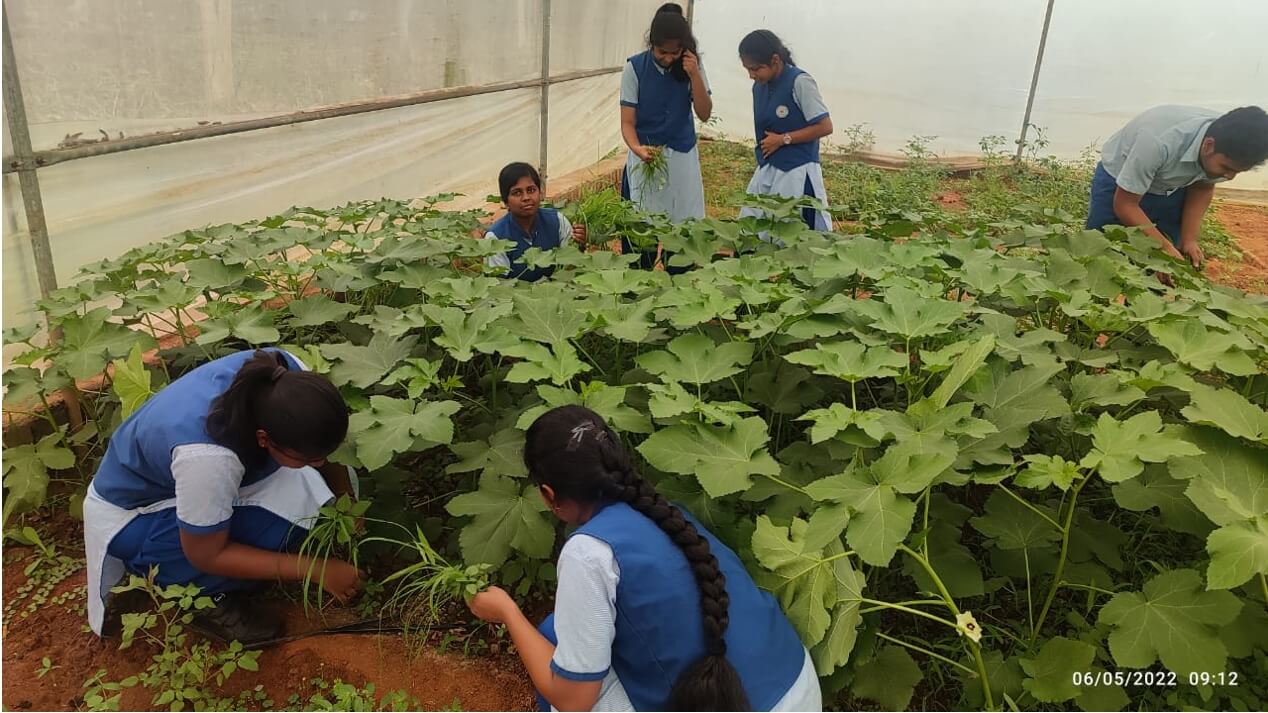 Environmental Education in School